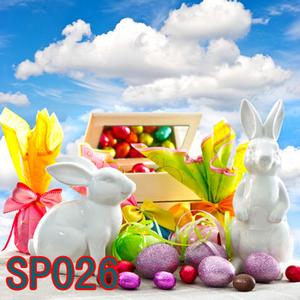 8'x8' SP026